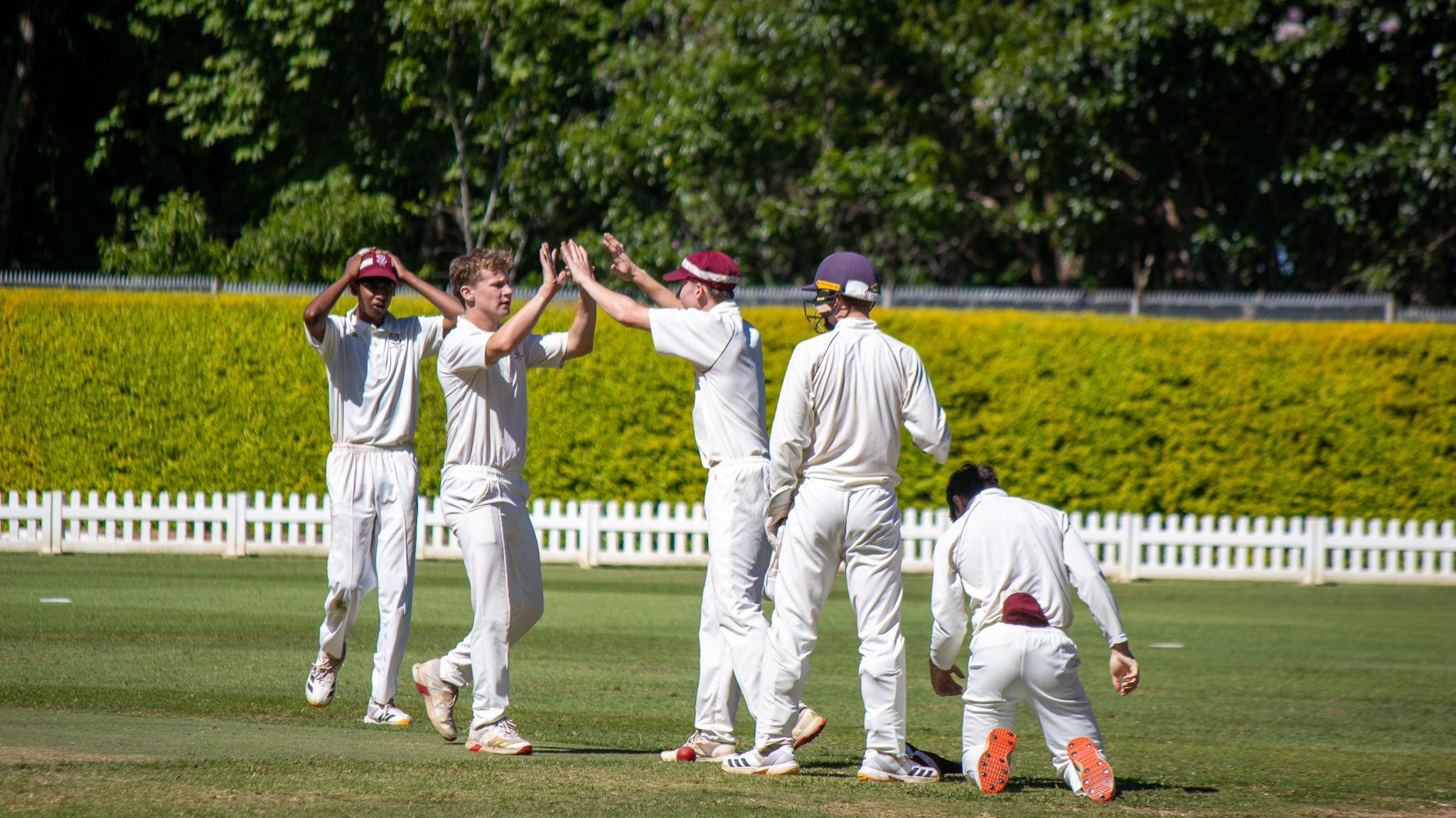 Kearsney bowler Matthew Gorrie (left) celebrates a wicket with Matthew Rice