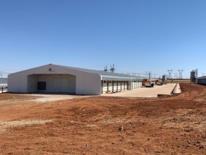 R52m Virginia poultry project left in ruins