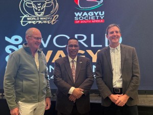 Wagyu beef sector attracts investment and boosts exports in Western Cape