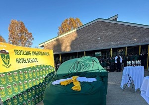 Free State MEC condemns violence at school after Gr. 11 learner stabbing