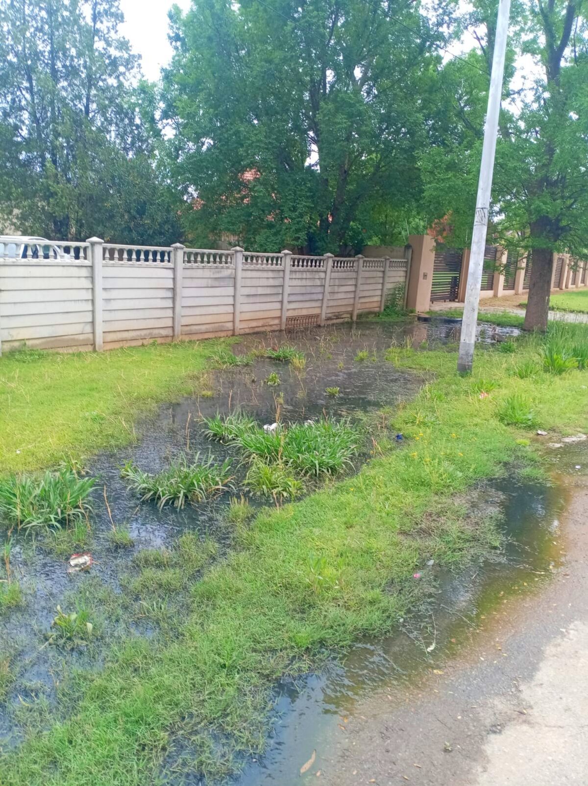 Human rights violations as residents endure five years of sewerage