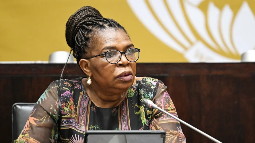 Social Development Minister Dina Pule. The department has warned the public against unregistered substance abuse treatment centres after a suspected illegal facility was discovered in Mpumalanga