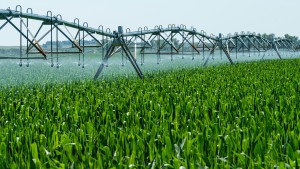 South Africa’s vanishing farmland: When development threatens food security