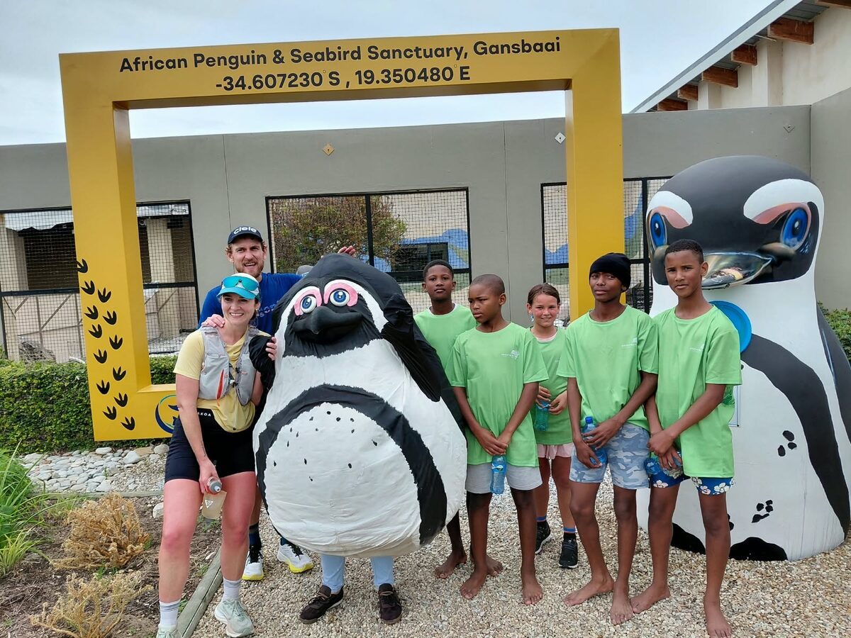 A run through the Overberg for the survival of African penguins