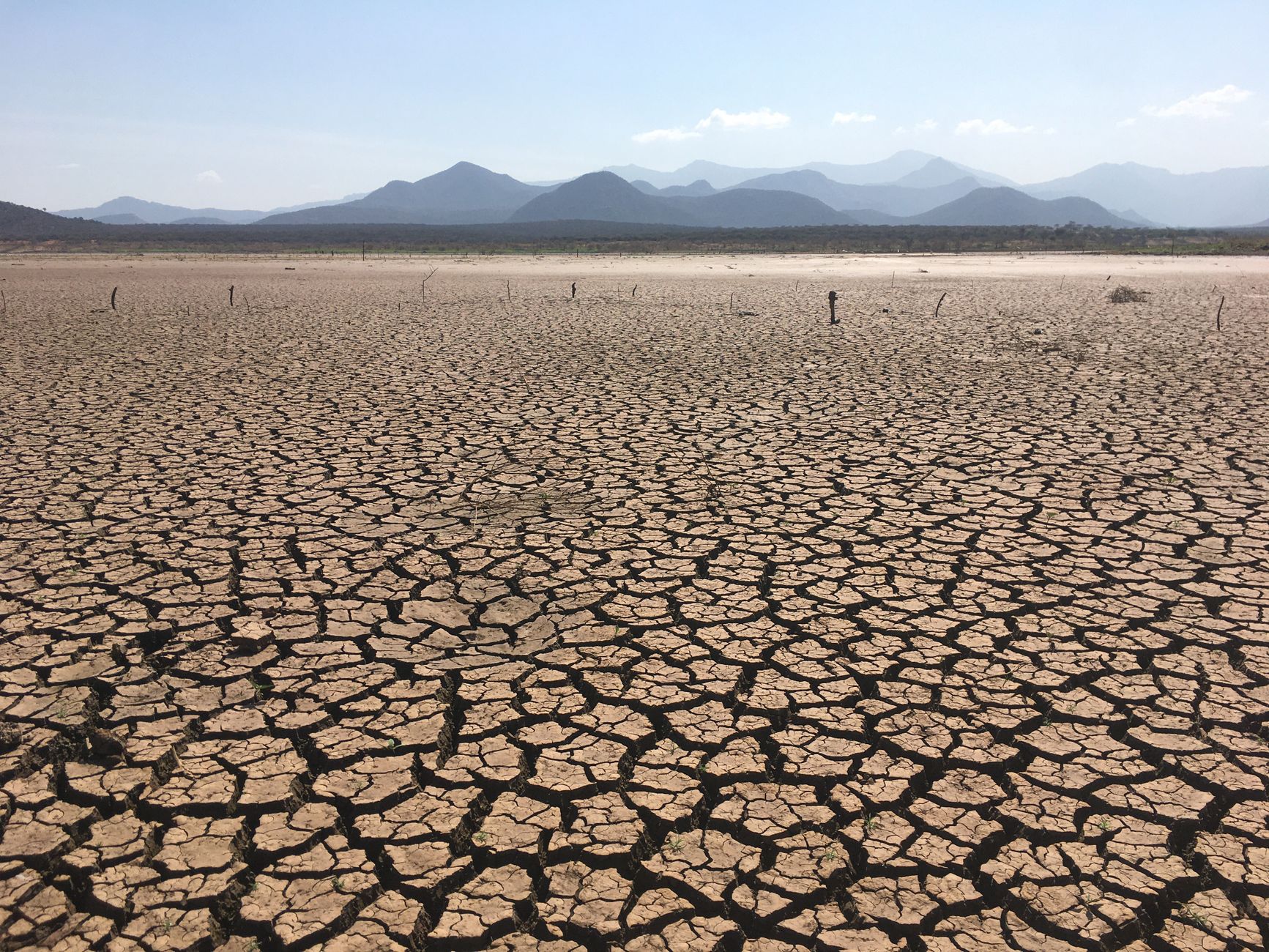 cracks on water starved soil
