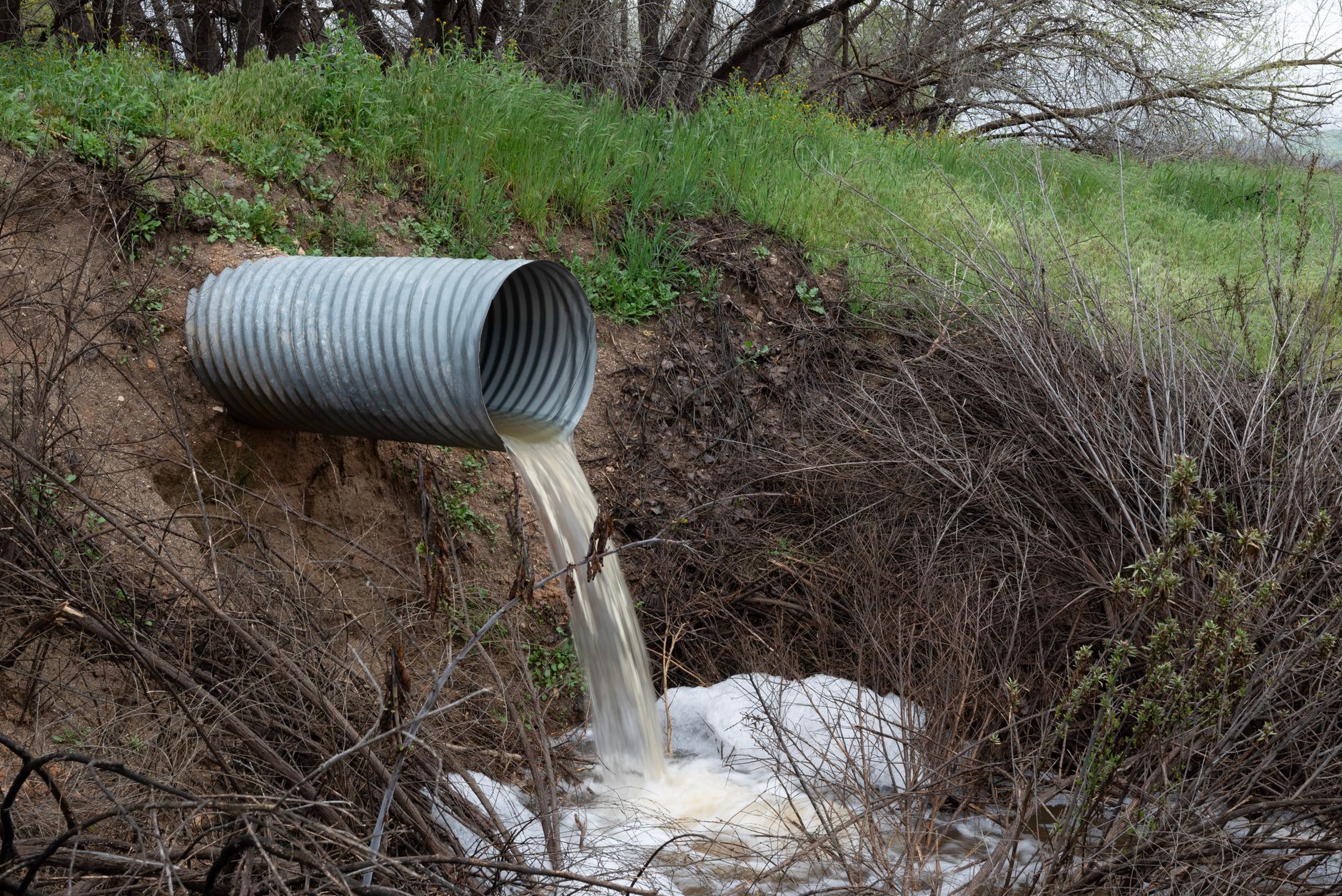 pipe with sewage