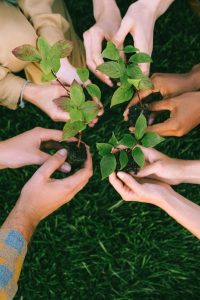 South Africa plants seven million trees in six months under ambitious greening campaign