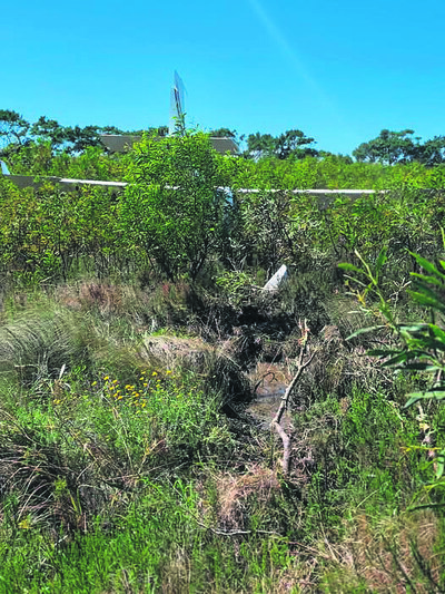 A possible mechanical fault may have caused the plane to exit the runway.