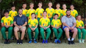 Eureka wen Pro 20 Krieket semi-finaal teen Newton