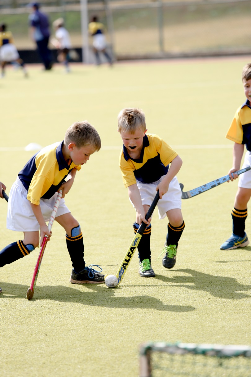 Mini Hockey 1