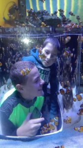 AQUARIUM
