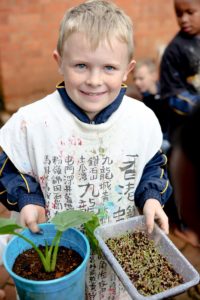 GR2 Growing Plants (1)