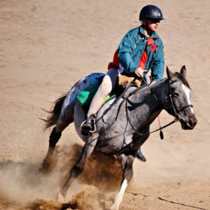 Erries skitter by Western Mounted Games kwalifiserende rondte