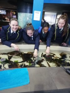 Hoërskool Strand besoek akwarium