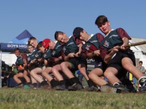 OAKDALE-TOUTREK BLINK UIT