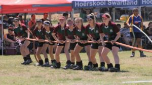 Errie-netbal op hul stukke