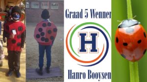 Hoërskool Hoopstad Skool Graad 5’s leer van insekte