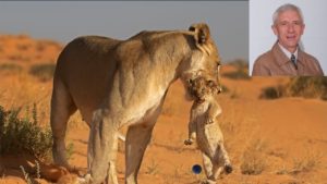 Mnr Geo Jooste van Hoërskool Sentraal naaswenner van Impala Trofee
