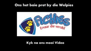 Fichardtpark Primêre Skool