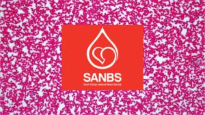 SANBS Honouring the Resilient Woman of South Africa
