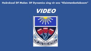 Hoërskool DF Malan: DF Dynamics sing vir ons “Kleintambotieboom”