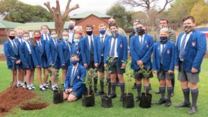 Laerskool Thabazimbi vier Nasionale Boomplantdag