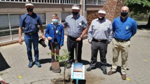 Primêre Skool Jordania plant bome