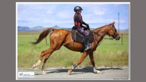 Grey Kollege leerder presteer by 120km Uithourit
