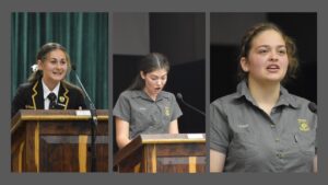 Nellies debatteer ‘n hond uit ‘n bos