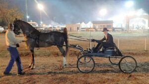 Hoërskool Sentraal leerder presteer by Saalperd-kampioenskap