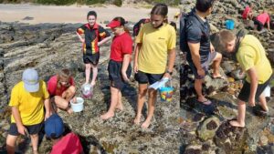 Vertebratas and Invertebratas – Stulting classify different organisms