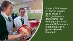 Opedag – Hoërskool Ermelo spog met suksesvolle Opedag