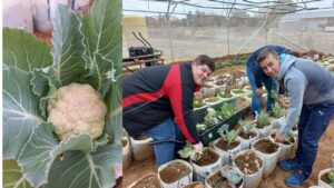 Landboubestuur – Hoërskool Hoopstad leerders oes blomkool