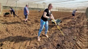 Landbou – Hoërskool Erasmus doen prakties