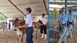 Riversdal Jeugskou – Hoër Landbouskool Oakdale
