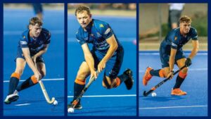 Skole hokkie – Grey Kollege kraai koning