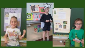 Insect orals – Stulting Primary School
