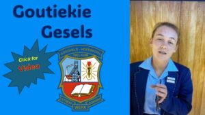 Goutiekie gesels – Hoërskool Goudveld