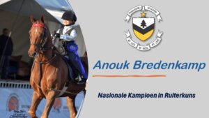 Nasionale Saalperdskou – Laerskool Truida Kestell