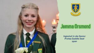 Senior Protea Saddle Seat – Hoërskool Witteberg