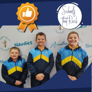 Skole stoei – Primêre Skool Naudeville