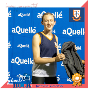 Aquelle School Series #3 – Treverton College