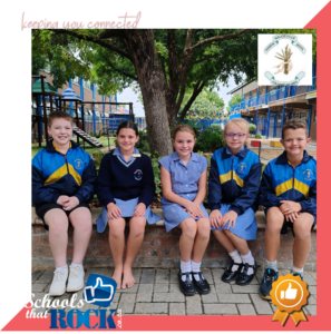 AMESA Wiskunde – Primêre Skool Naudeville