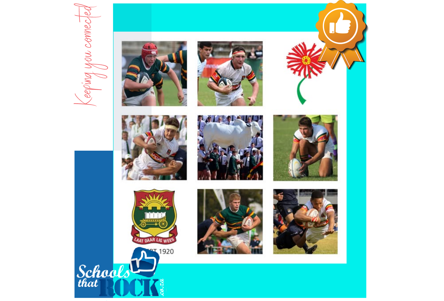 Affie-Rugby - Afrikaanse Hoër Seunskool