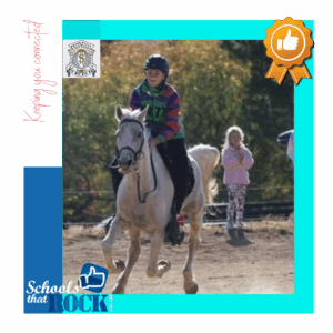 Fauresmith Perde-uithourit – Hoërskool Bothaville