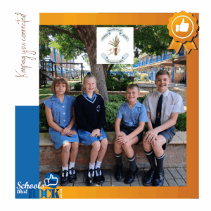 Noord-Vrystaat Gimnastiek – Primêre Skool Naudeville skitter