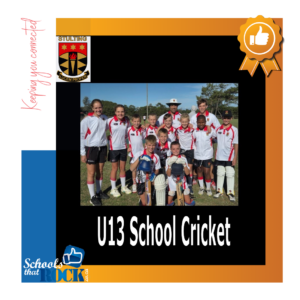 U13 School Cricket – Stulting Primary School outstanding